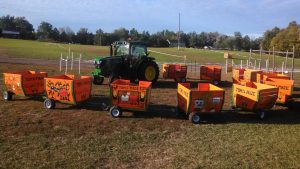 Pumpkin Train at Tom's Maze