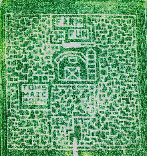 2023 Toms Maze