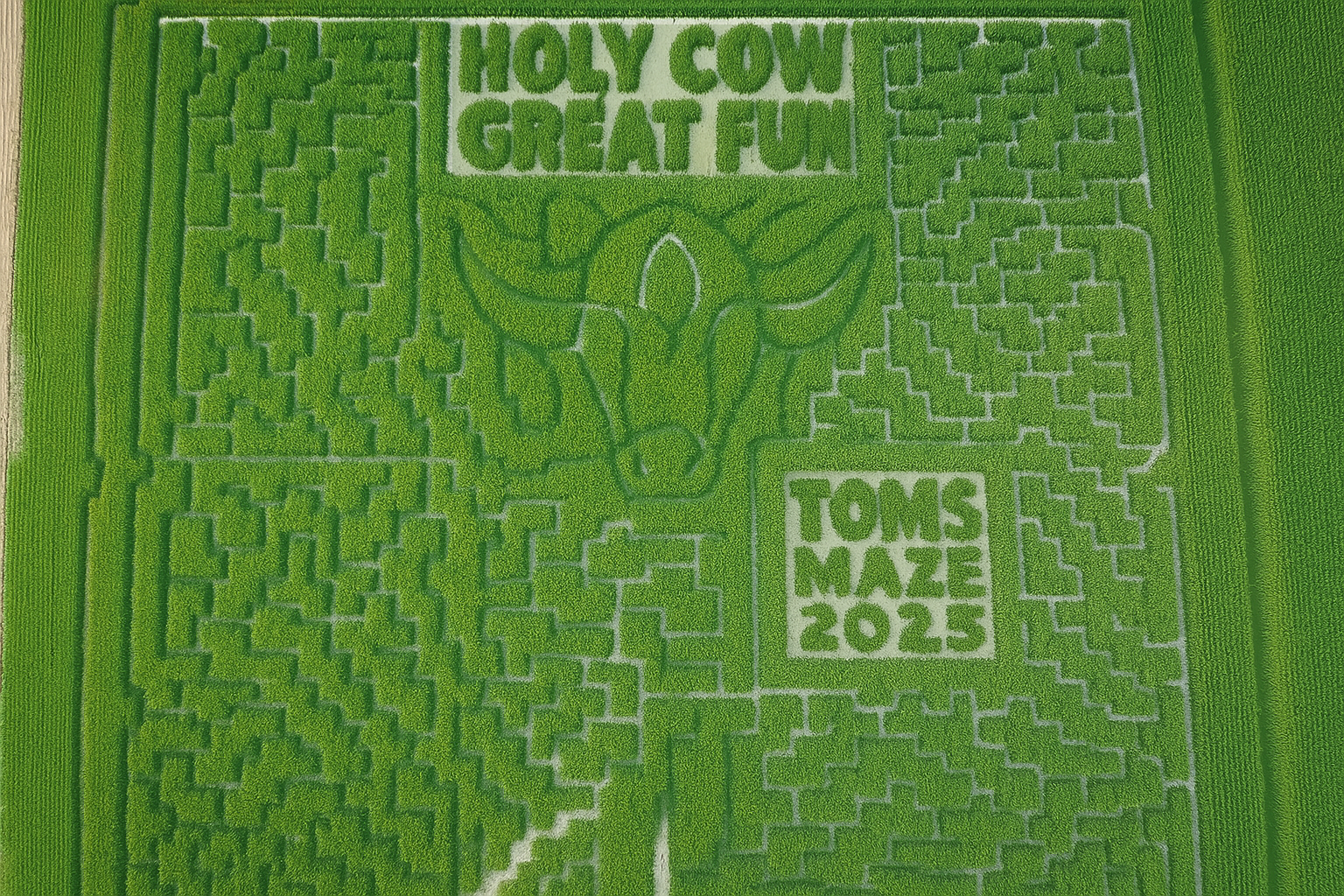 2025 maze photo